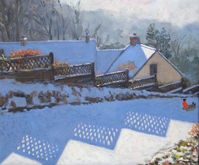 Fence Shadows by Andrew Macara